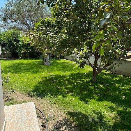 Fotis House Διαμέρισμα Αφάντου Εξωτερικό φωτογραφία